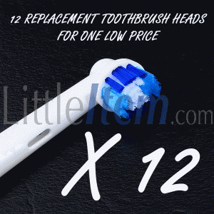12 Soft Bristles Toothbrush Replacement Heads